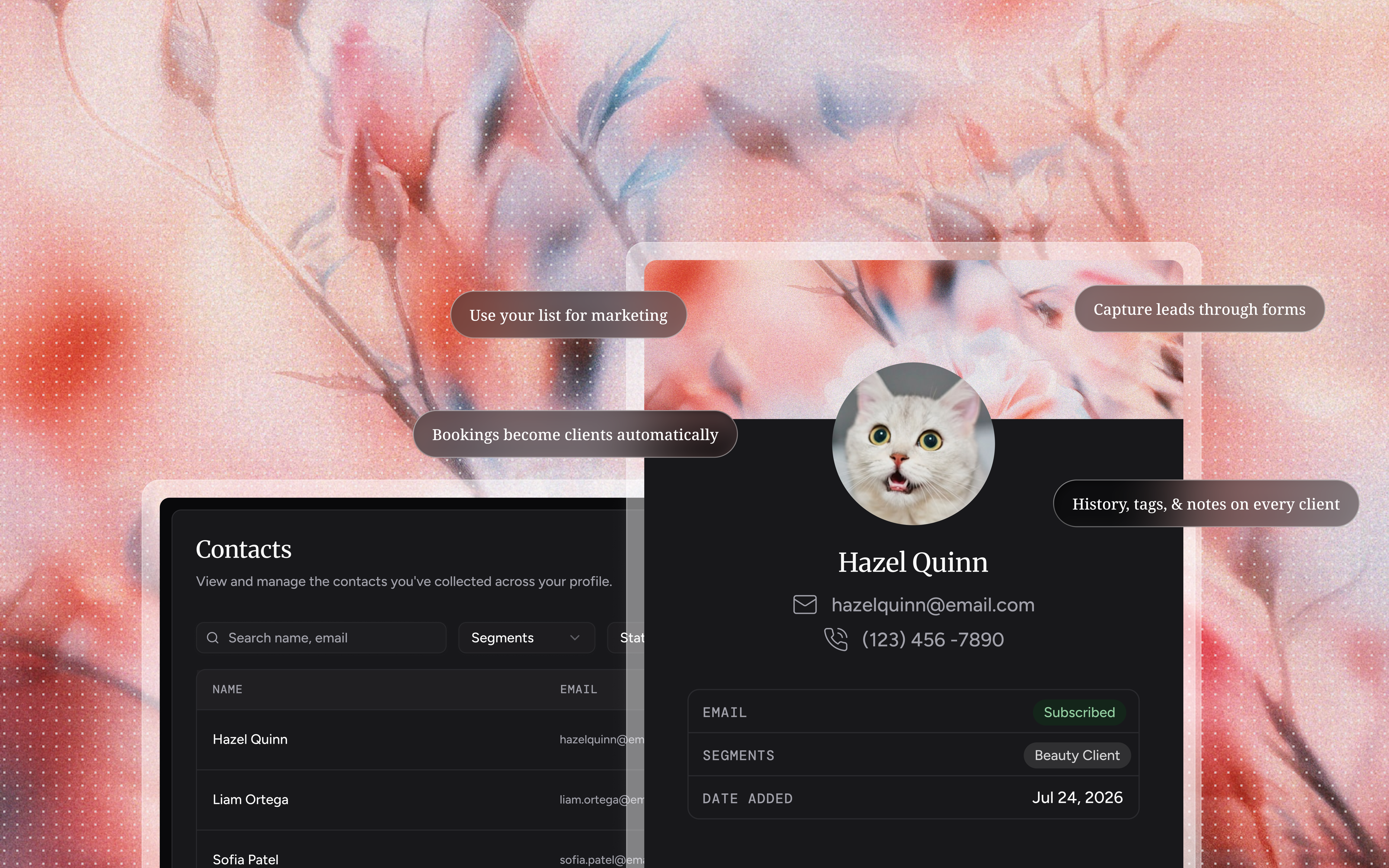 The Haize contacts list beside a client record with email, phone, segment, and date added