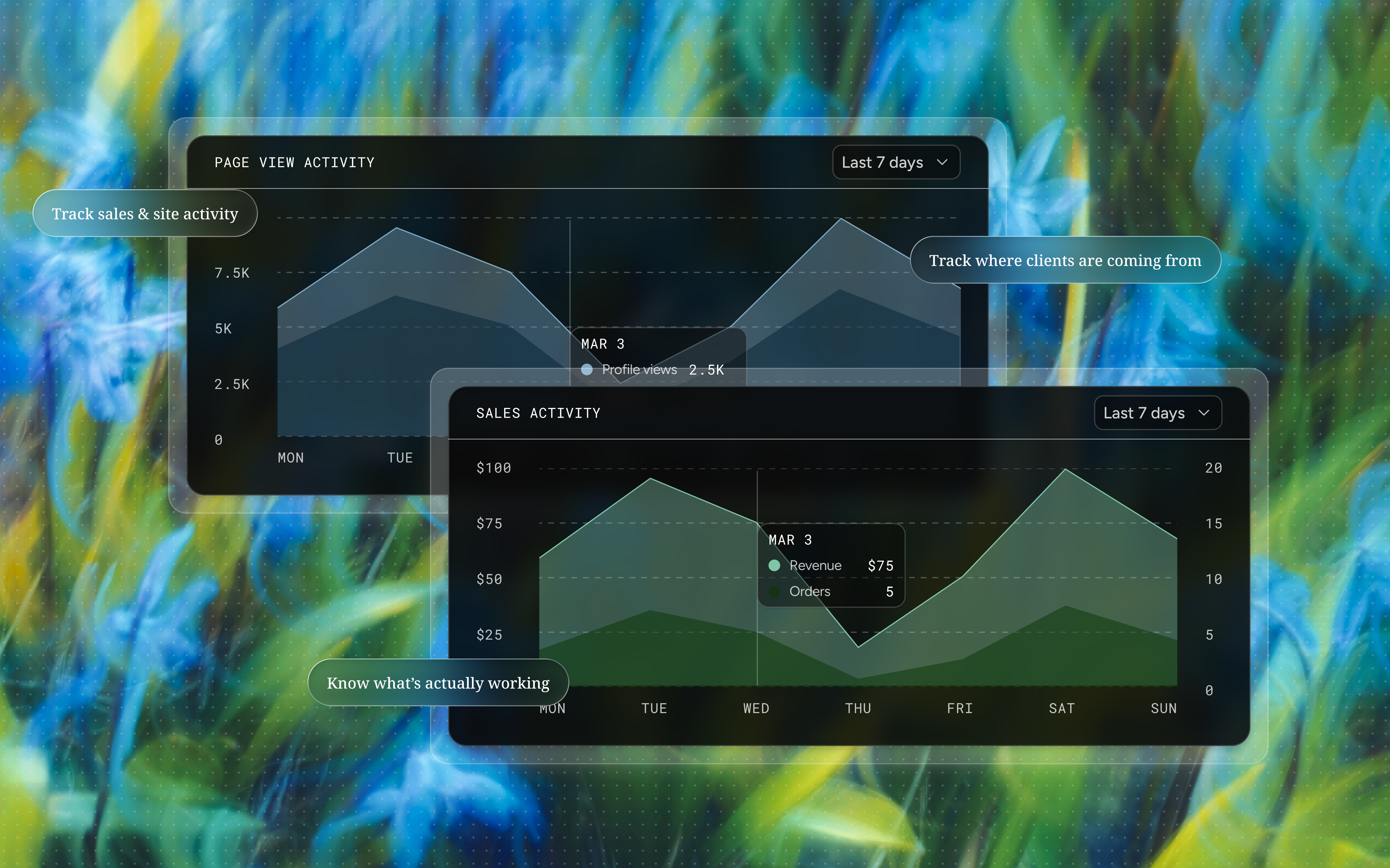 Page view activity and sales activity charts in Haize, each broken down by day