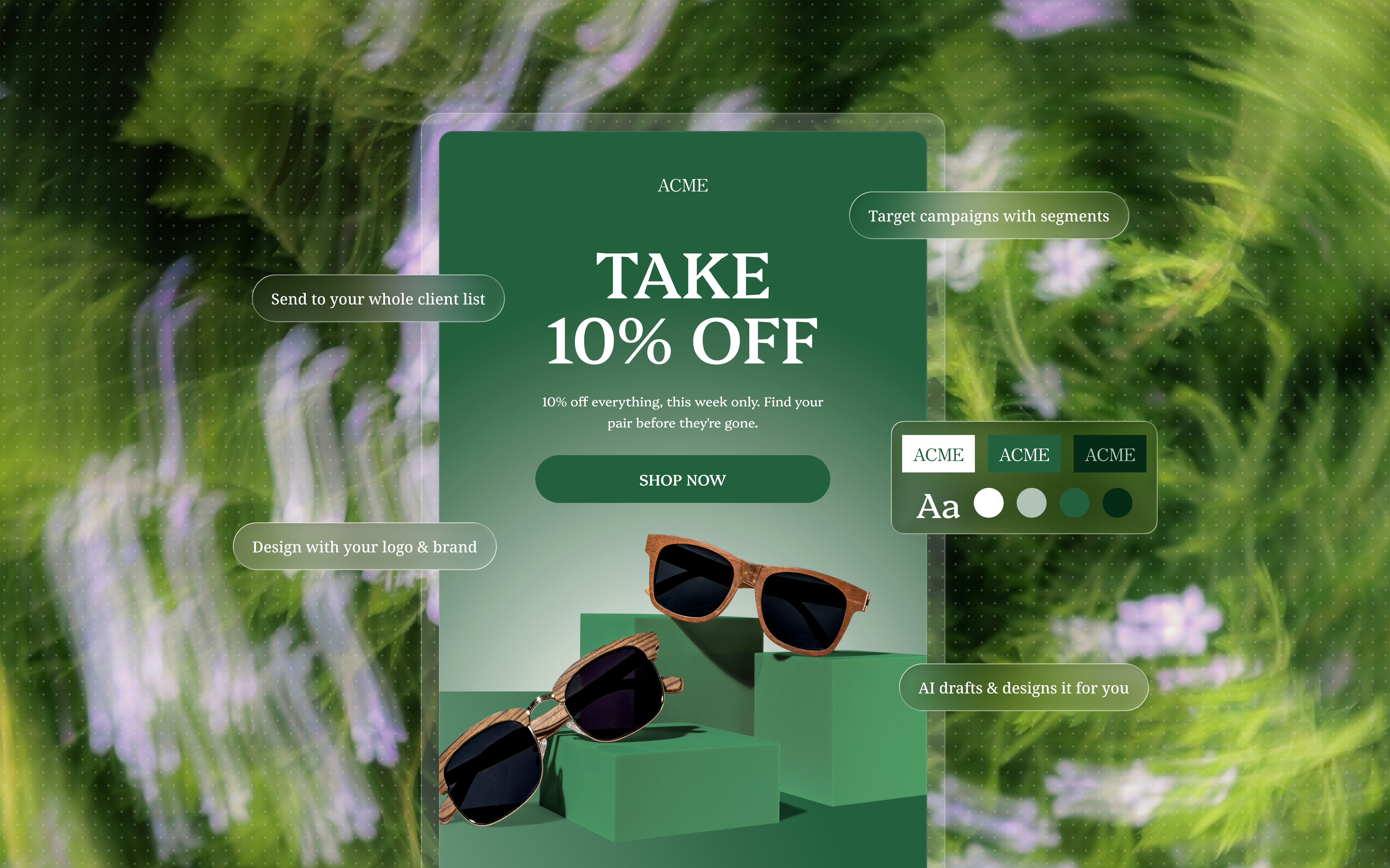 A branded promotional email built in Haize, with campaign targeting and brand colors alongside it